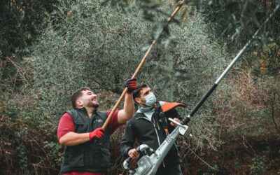 TUTELARE I LAVORATORI E LA LORO SALUTE NEL SETTORE AGRO-SILVICOLO E ORTICOLO